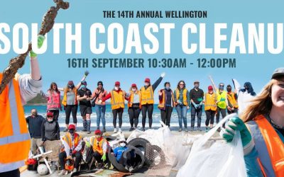 South Coast Cleanup 2023