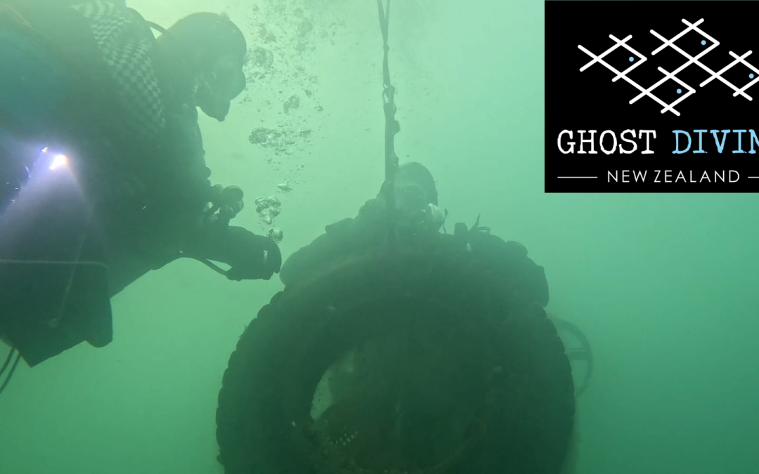 GDNZ 2025 Balaena Bay Cleanup